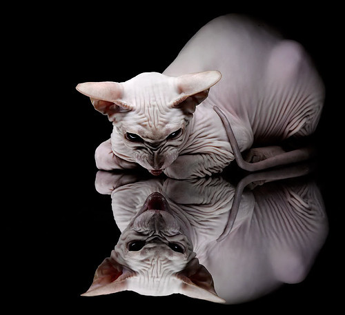 _热火防守严密,再迎关键胜利_,热火联防战术图解