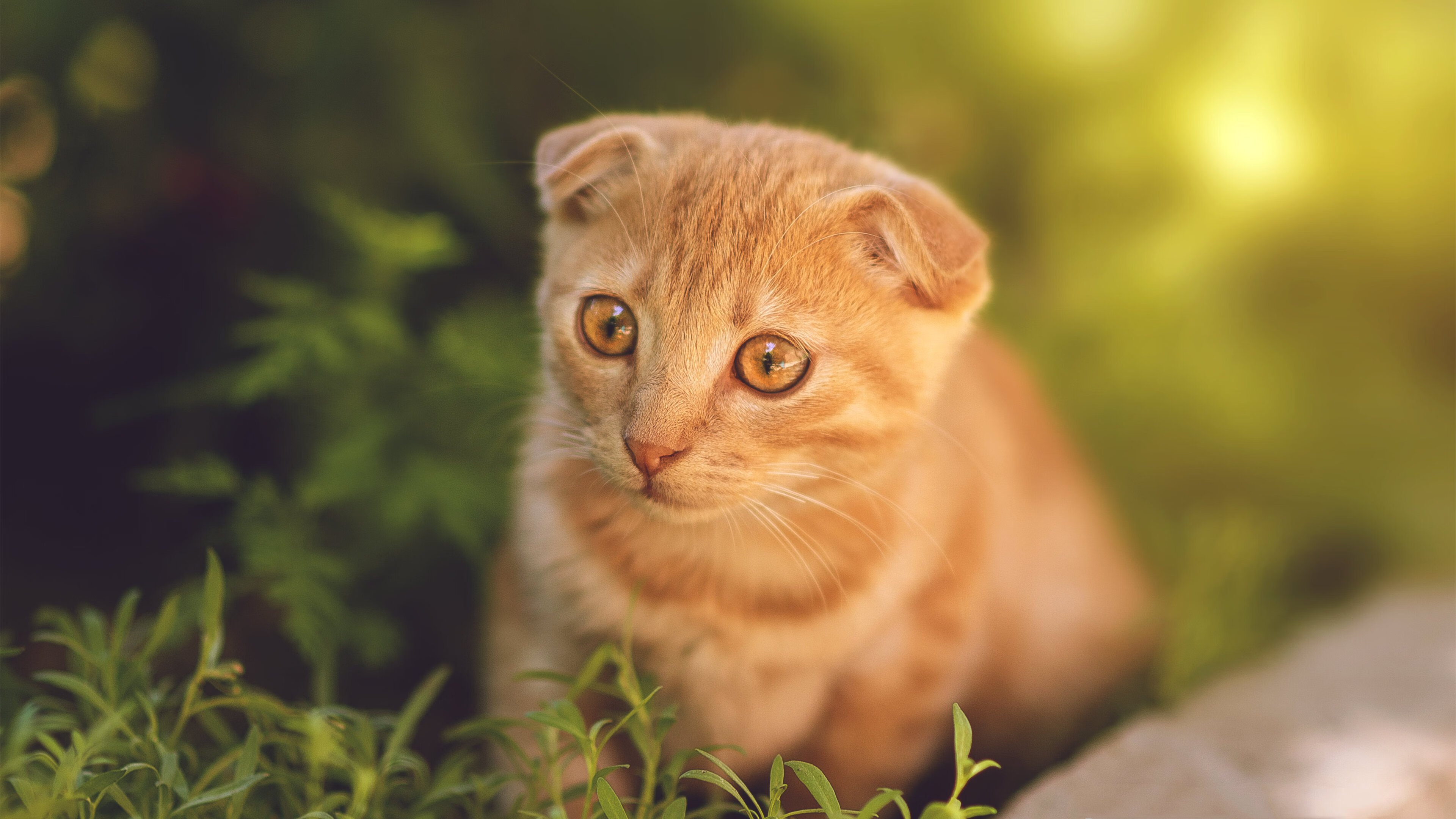 “西甲攻防转换：精彩纷呈，球迷欢呼不断”，西甲防守