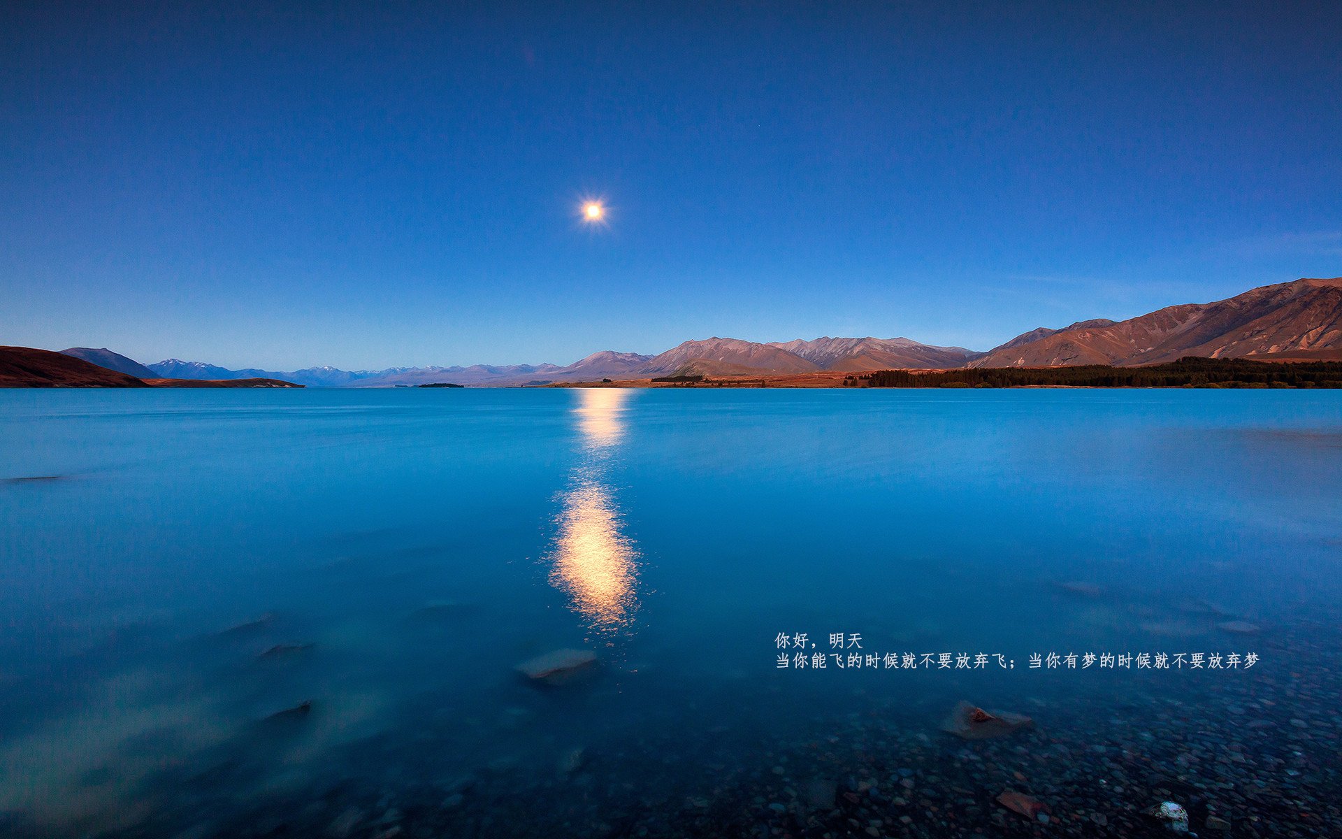 九游登录入口-《Dota 2高峰对决，英雄所见，巅峰激战》，dota冠军峰