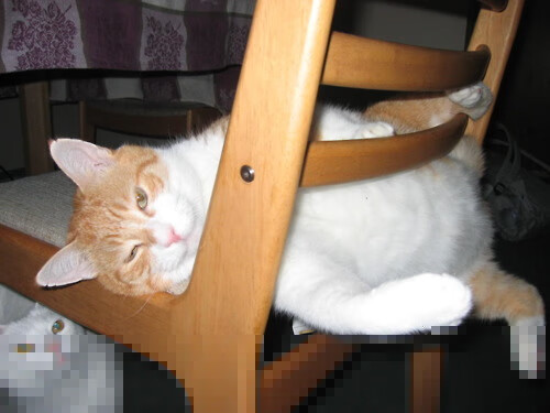 【比赛实录】逆局中的“奇谋”，运动员如何布局攻防？