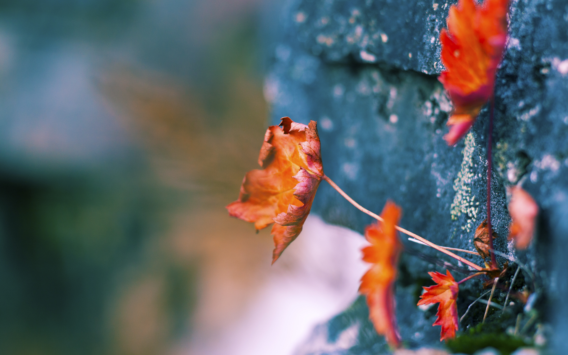 勇士在季后赛中逆境反击,库里超级三分带队成功翻盘!,勇士库里得分王