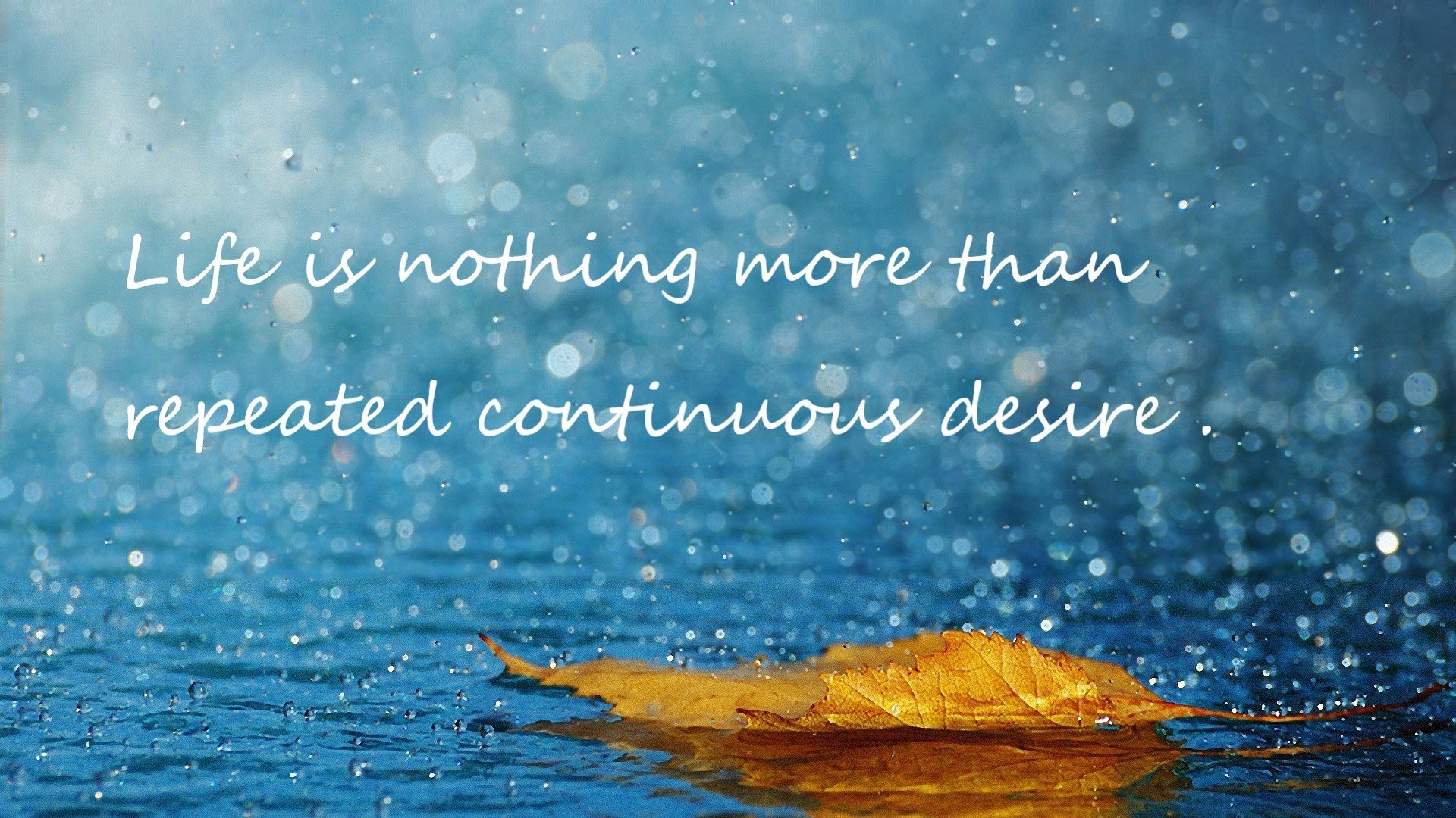 国际米兰在意甲联赛中获得亚军,表现稳定。,国际米兰上一次意甲夺冠