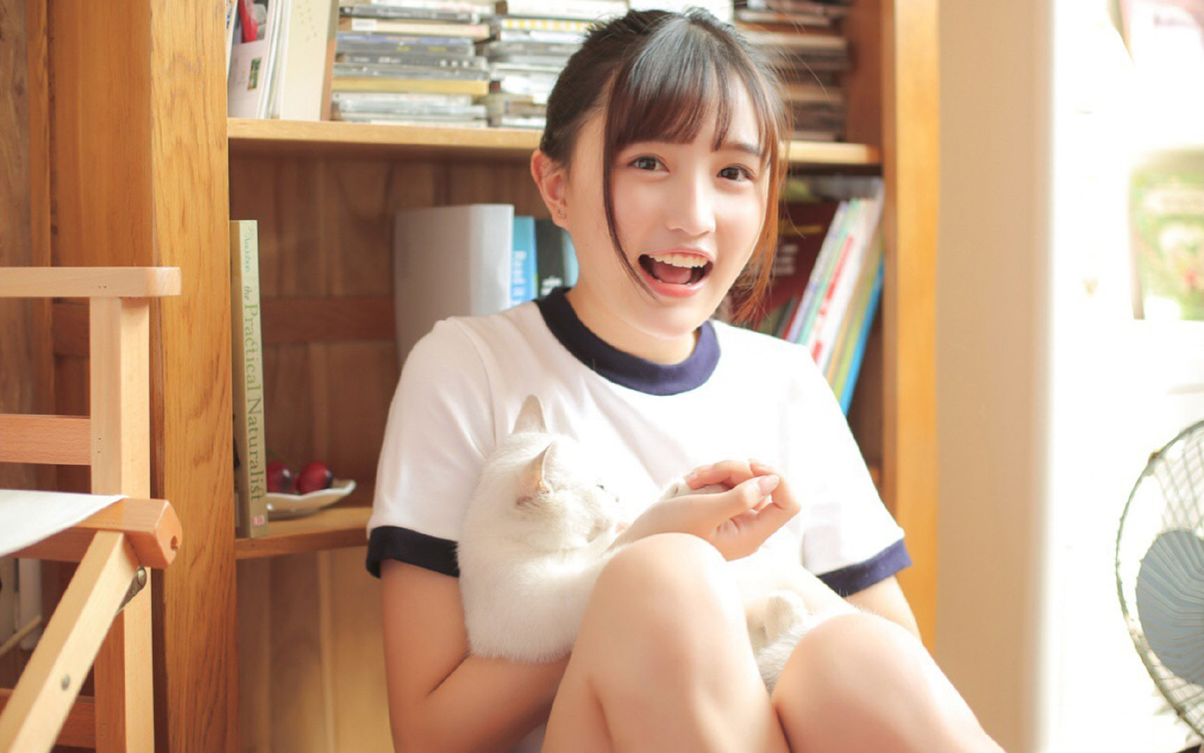 埃及球星成为联盟最新焦点,全球狂热关注,埃及 足球