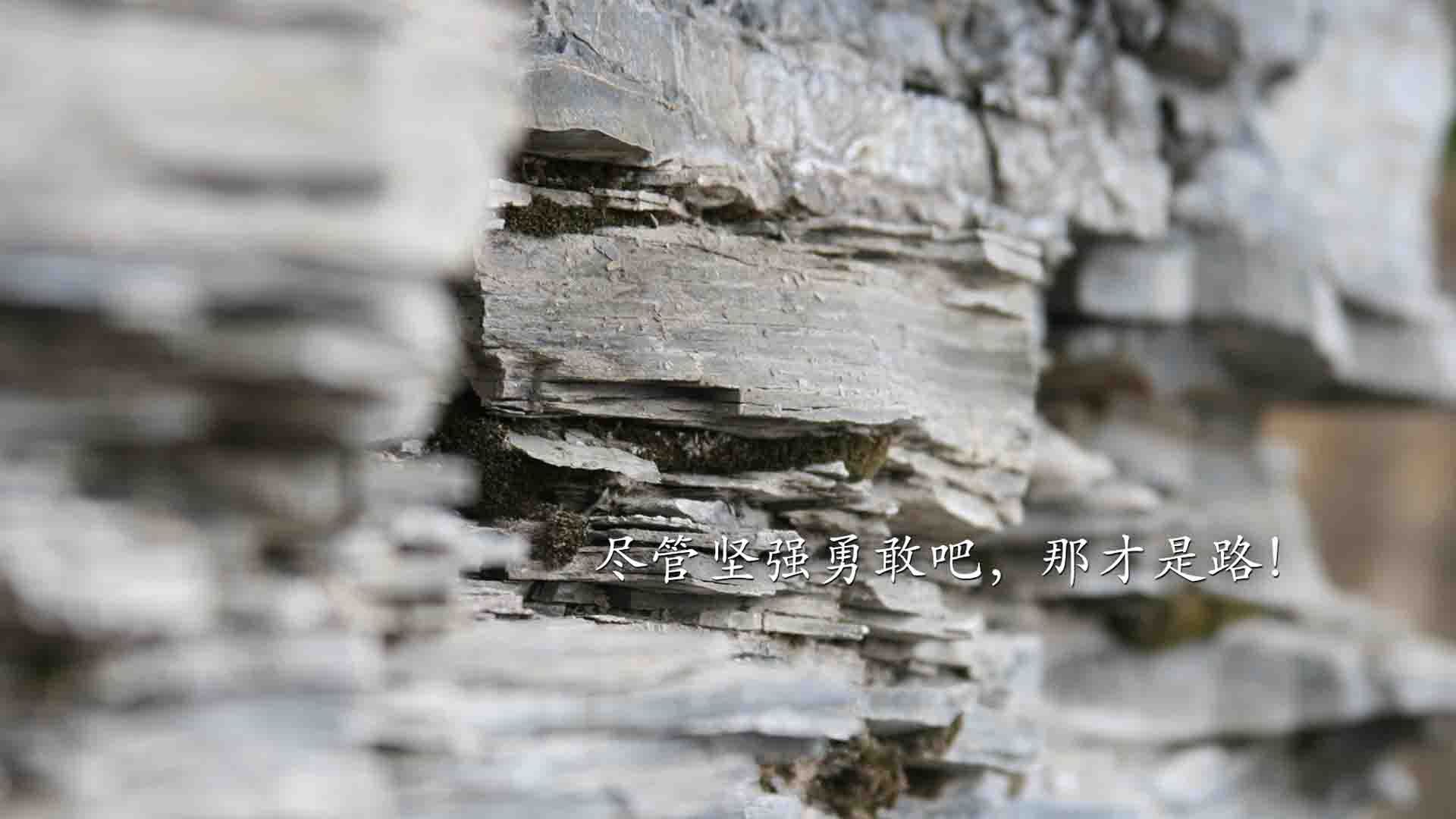 九游登录中心-比利时骑手多米安·米歇尔斯在2024年巴黎奥运会盛装舞步比赛中以“Dante”马匹获得第六名，展现坚韧精神。