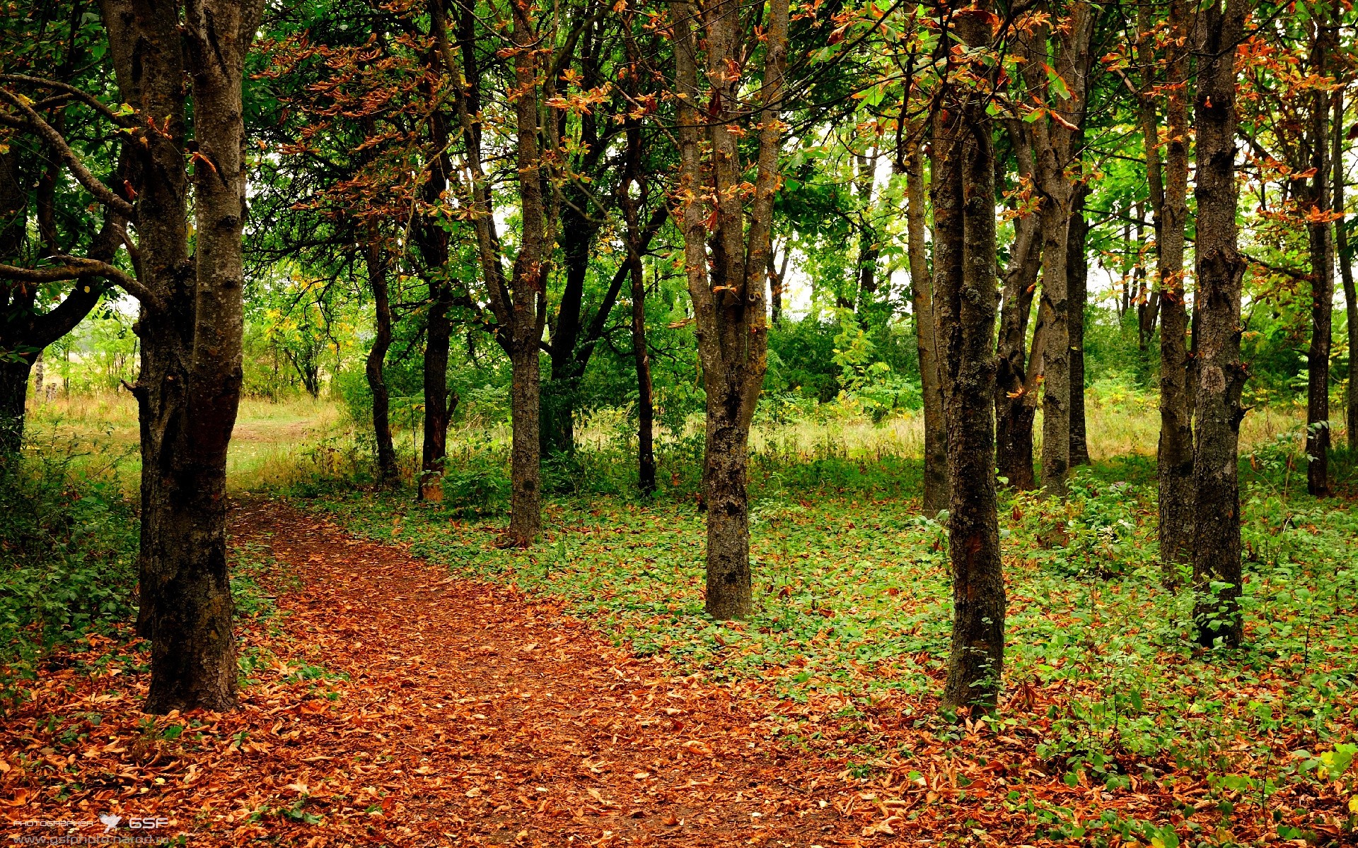 特色山脊滑索穿越,飞跃山谷体验极限运动,飞跃山峰