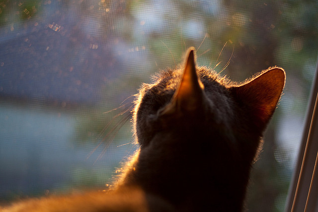 浙江队包揽2024全国高尔夫锦标赛男女团体冠军,浙江 高尔夫