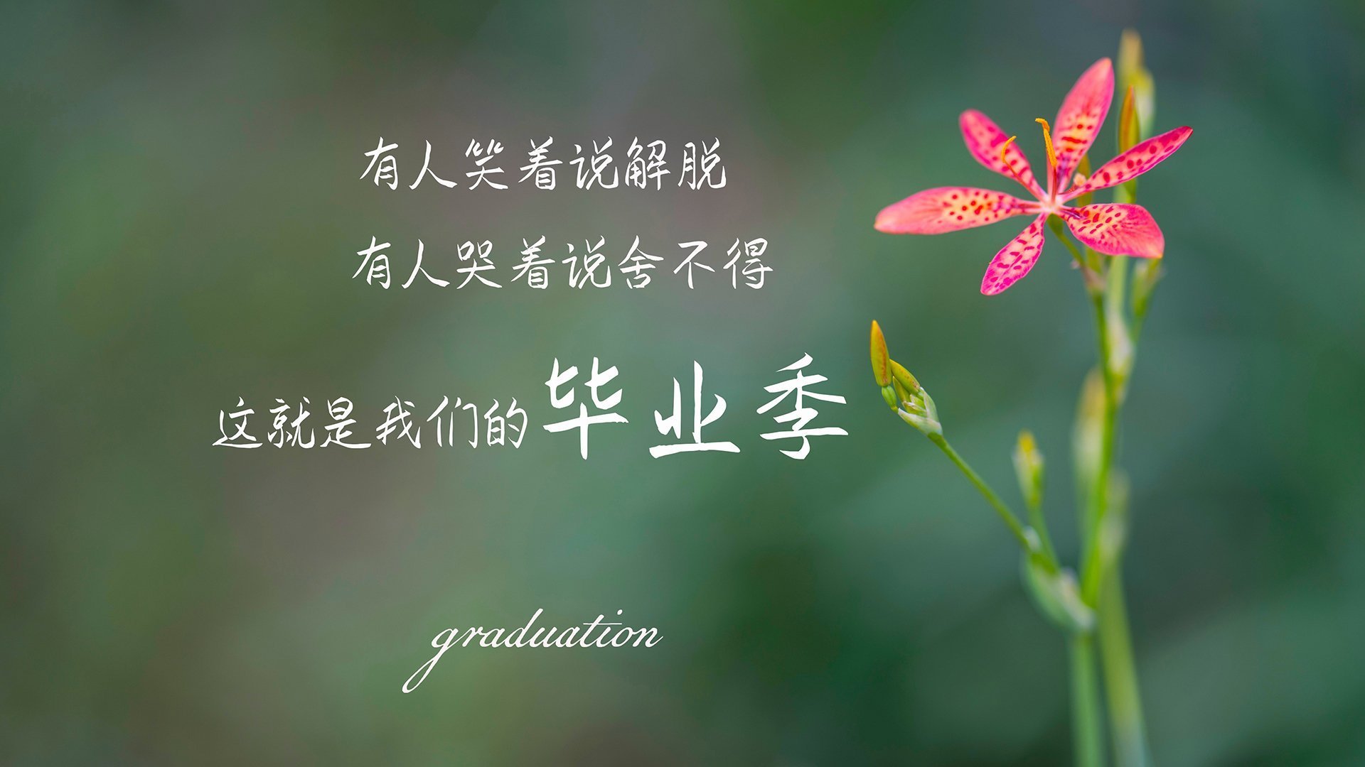 九游官网下载电脑版-莱比锡红牛教练组进行 tictacs 战术调整，寻求突破，莱比锡红牛比赛视频