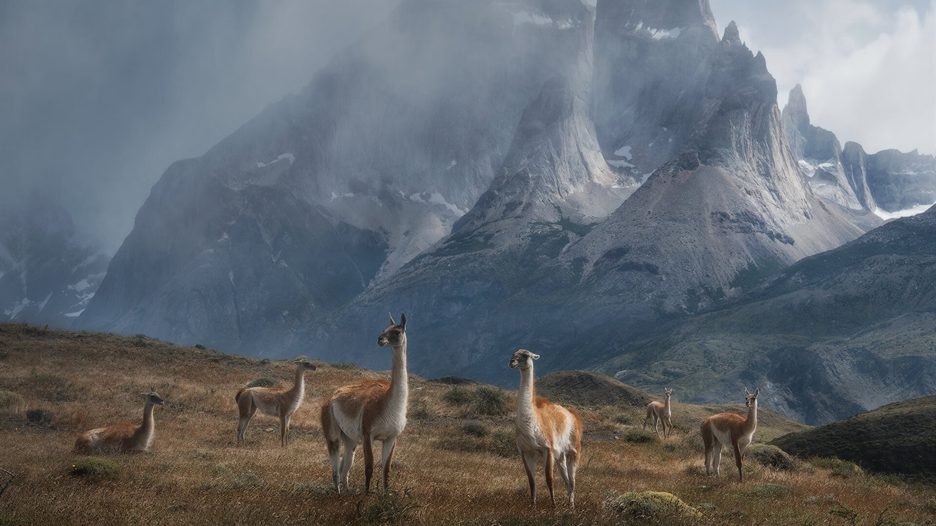 九游网页版官网-摩洛哥马术协会与欧洲马术协会签署合作协议，共同举办国际赛事。