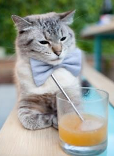 九游(jiuyou)官方网站-西格尔德松在巴黎奥运会手球比赛中展现出高水平的战术指导能力