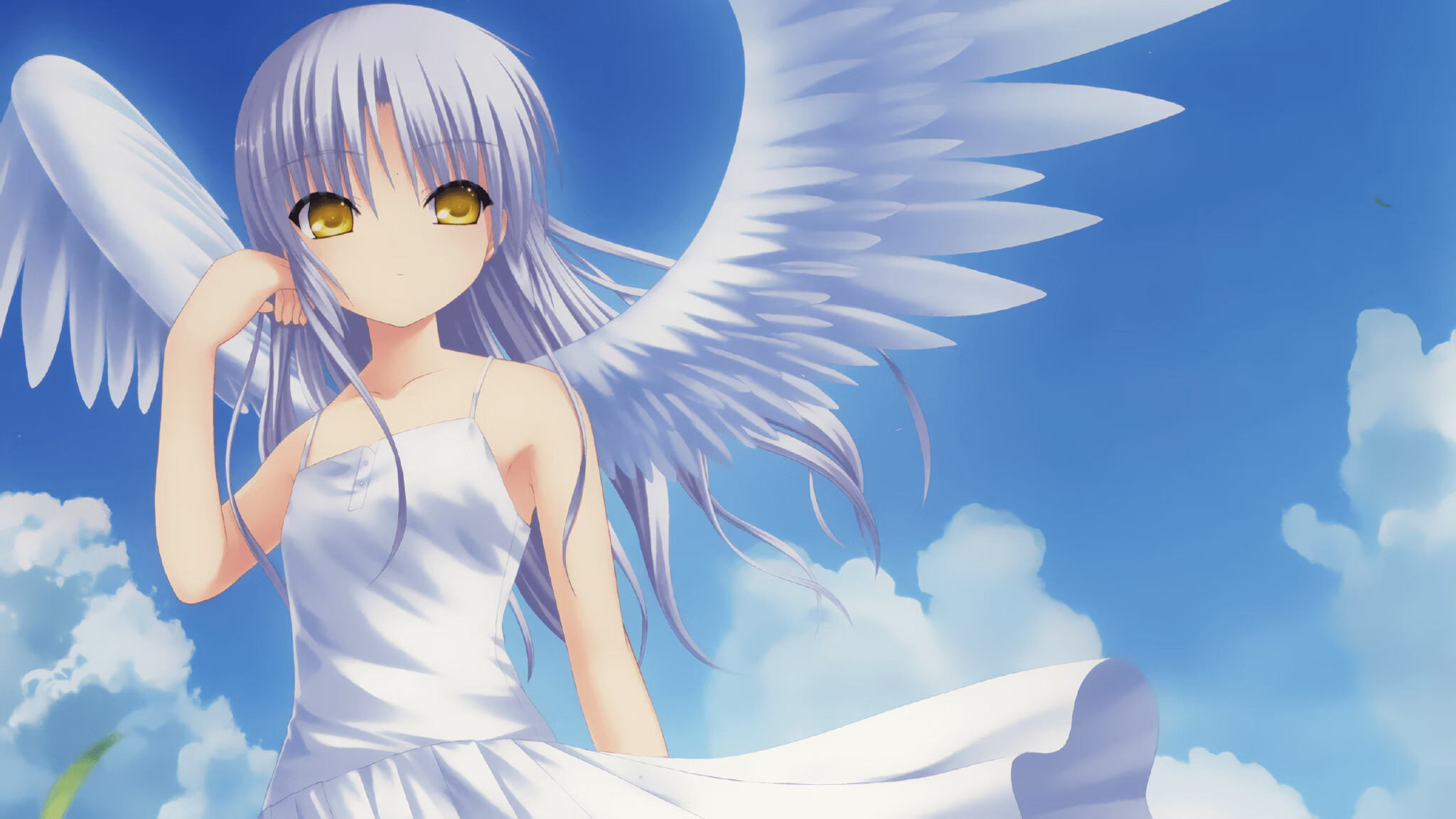 中国篮球职业联赛赛事风险管理机制,中国篮球竞赛制度改革