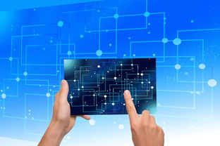 九游app下载中心-中国篮球教练员执教能力提升路径研究，中国篮球教练员岗位培训a级教程书籍