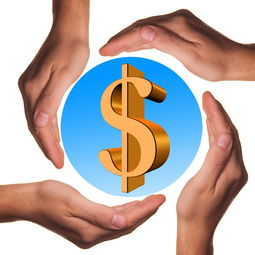 九游网-体育教学中增强现实与虚拟现实融合应用，结合教学实践谈谈示范在体育教学中的运用