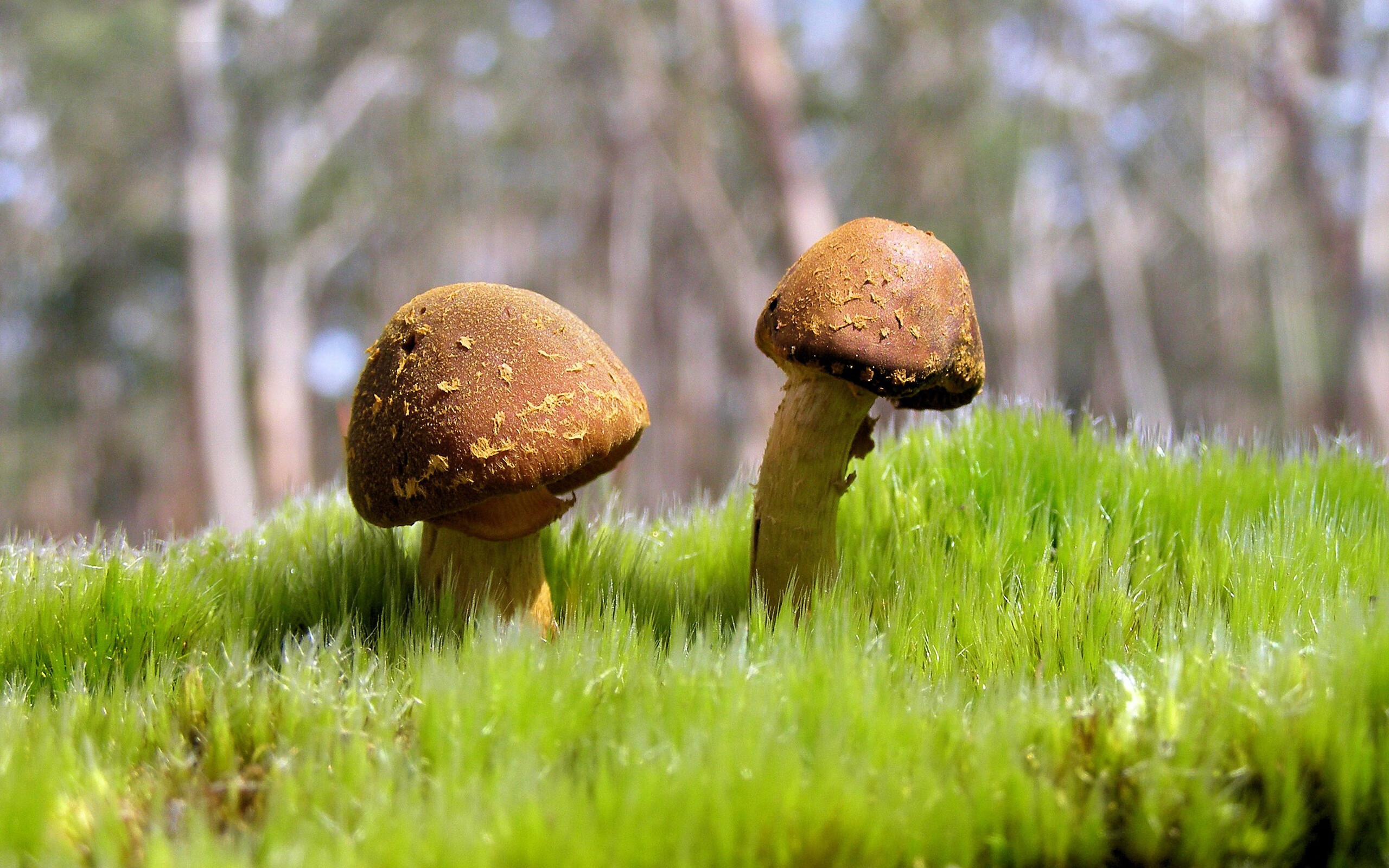 足球公益：联赛中的慈善行动与社会责任，足球公益活动标语