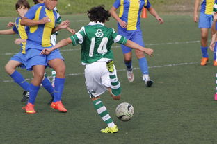 九游网页版官网入口-体育纪录片内容更加丰富，体育纪录片主题