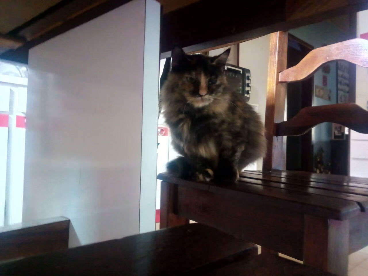 体育宣传片拍摄计划覆盖多个重点项目,体育宣传片拍摄计划覆盖多个重点项目怎么写