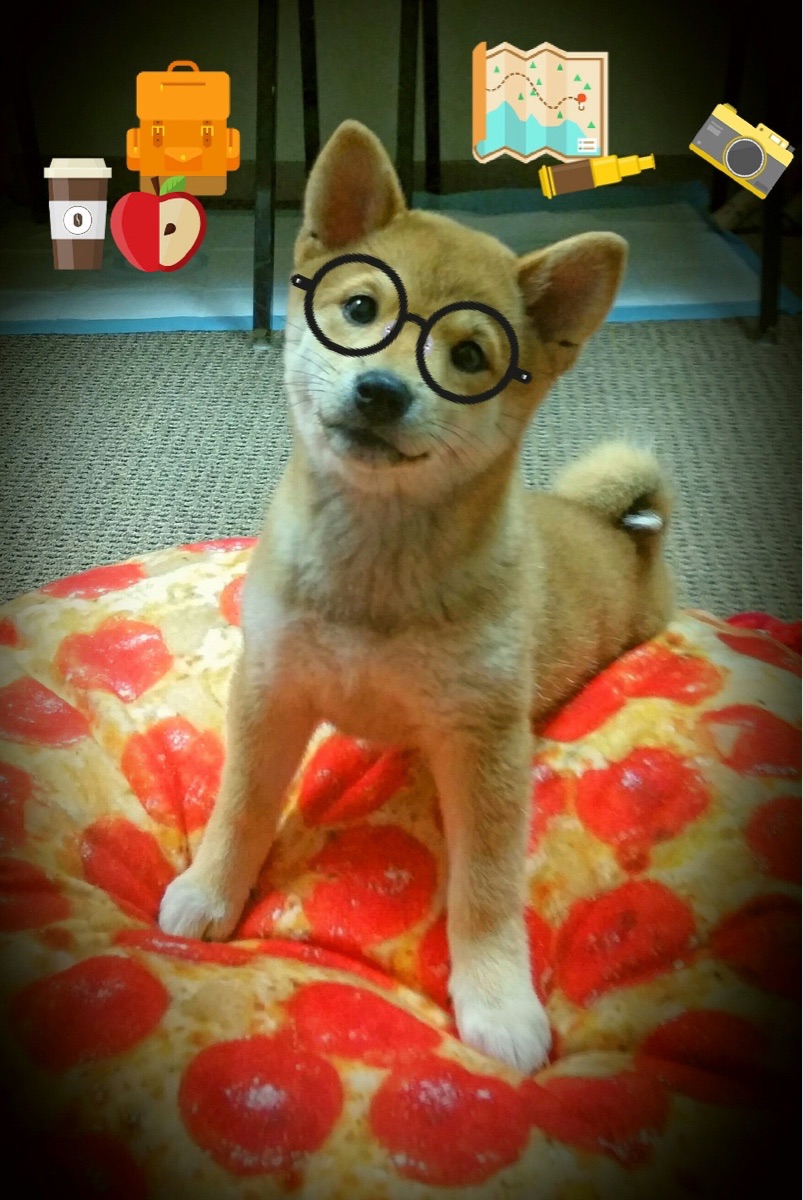 校际联赛提升竞技热度,校际联赛什么意思