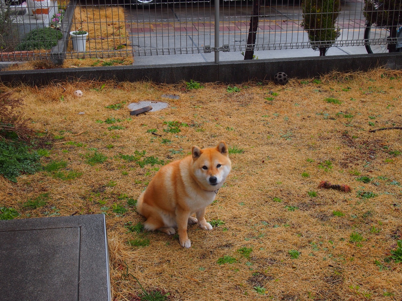 球队与科技公司合作开发投篮追踪系统，投篮技术分析