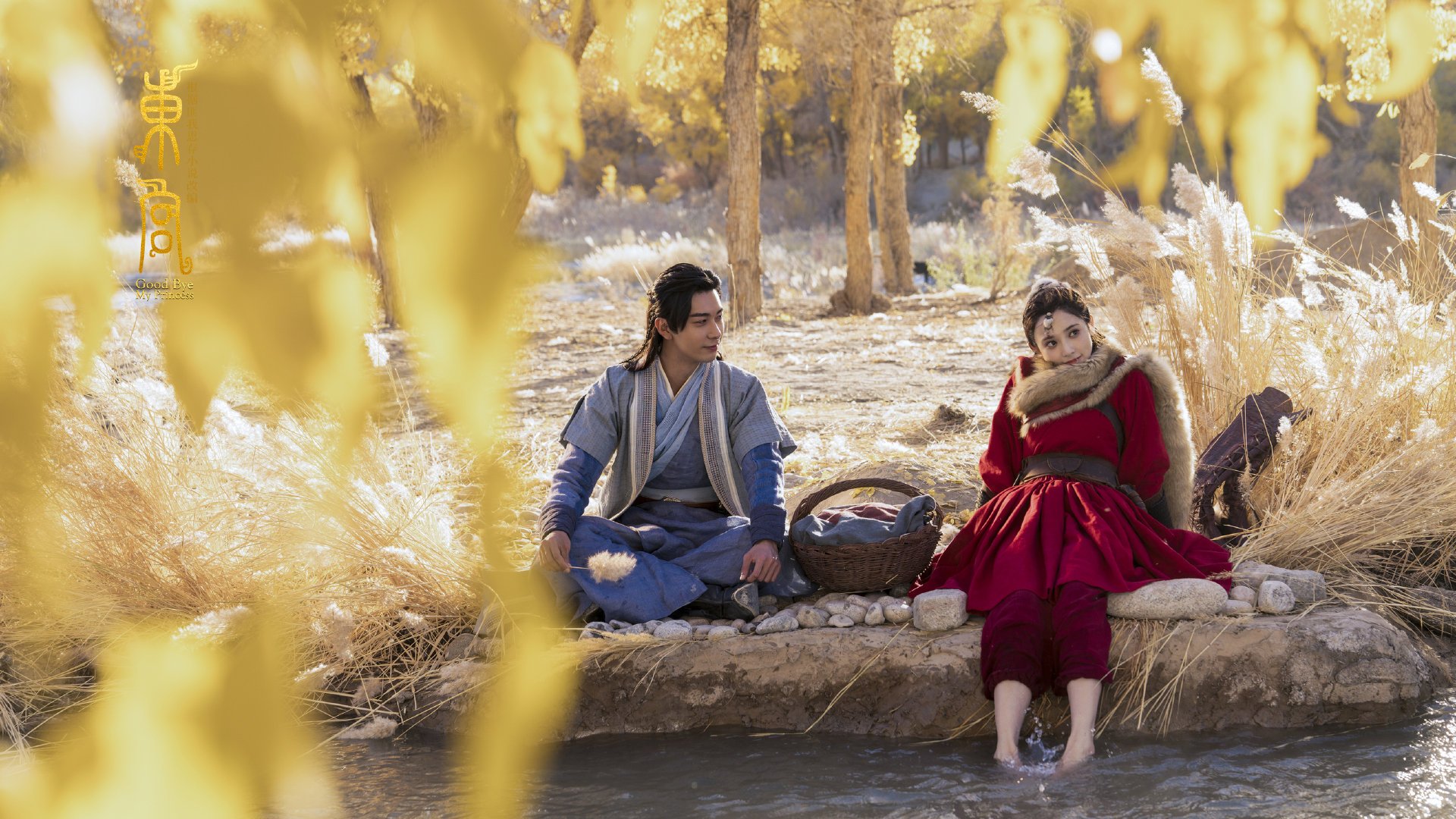 马术比赛 优雅与力量的完美结合,马术的比赛规则和赛制